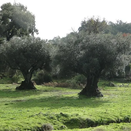 Casa Escobar & Jerez 호텔 4*