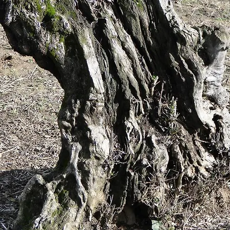 Casa Escobar & Jerez 4* 발렌시아데알깐따라