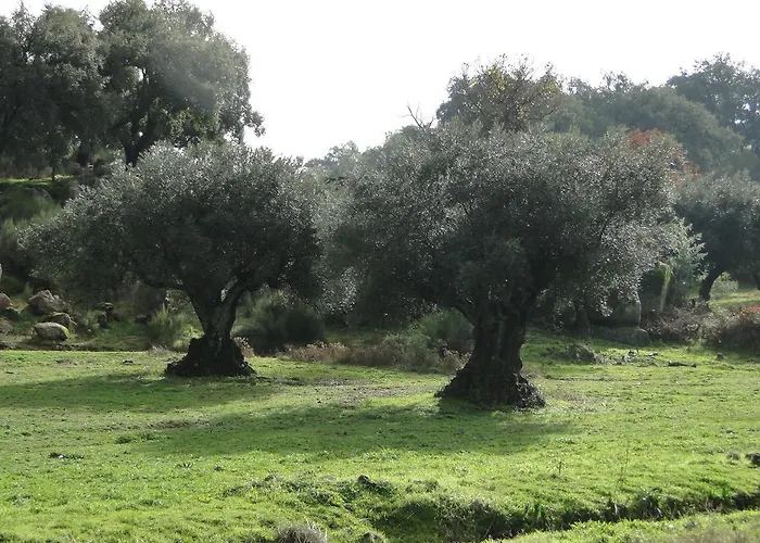 Casa Escobar & Jerez Hotel 4*